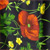 Red Floral on Black BG