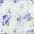 Petit Lavender