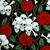 Skeletons and Roses