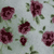 Rosas Vinho