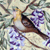 Victorian Birds