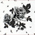 Black and White Floral Twill