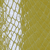 Yellow Snake