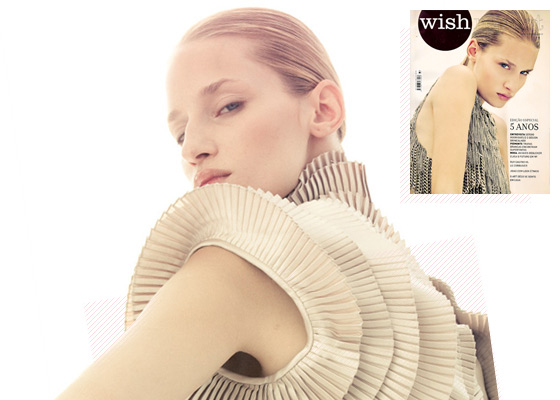 WishReport (2009)