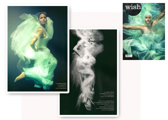 WishReport (2010)